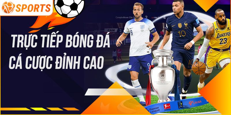 Chi Tiết Cách Tải App VSPORT Dành Cho Tân Thủ Mới Nhất