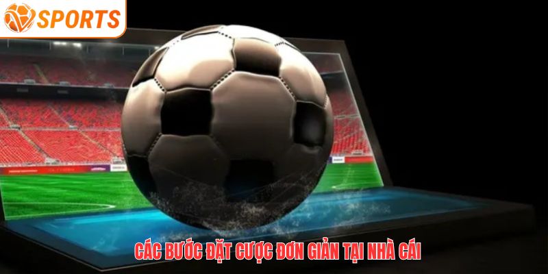 Hướng Dẫn Chơi Tài Xỉu 3 Trái Hiệu Quả Tại VSPORT