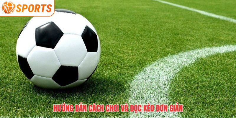 Tài Xỉu 2.5 Là Gì? Hướng Dẫn Cá Cược Kèo 2.5 Tại VSPORT