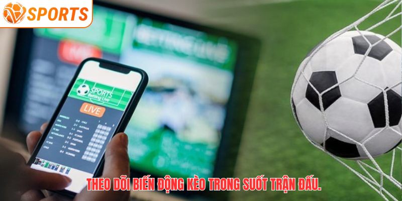 Hướng Dẫn Chơi Tài Xỉu 3 Trái Hiệu Quả Tại VSPORT