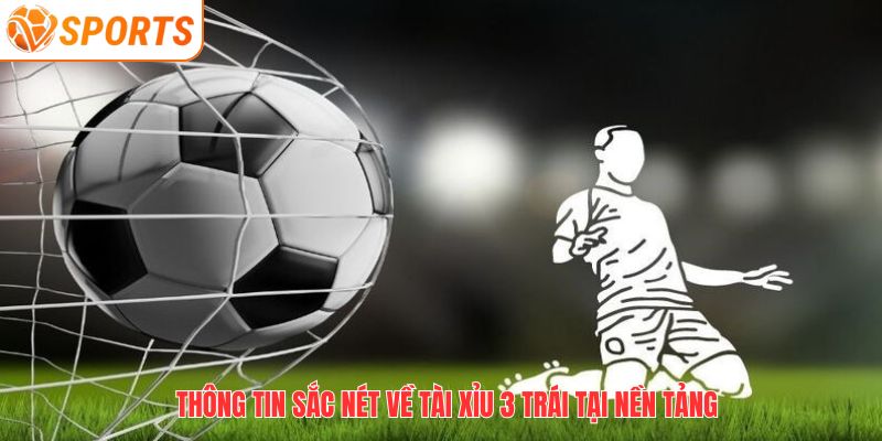 Hướng Dẫn Chơi Tài Xỉu 3 Trái Hiệu Quả Tại VSPORT